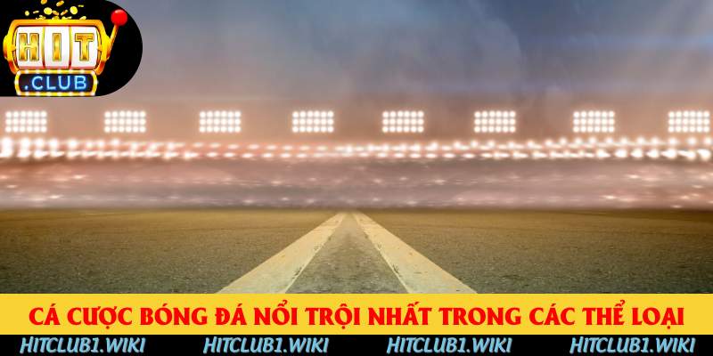 Cá cược bóng đá nổi trội nhất trong các thể loại